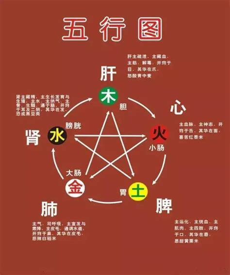 什么是五行|一文读懂五行学说